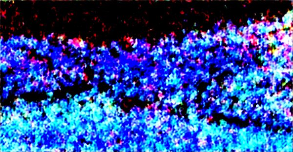 Venture building strategies for innovative igaming startups